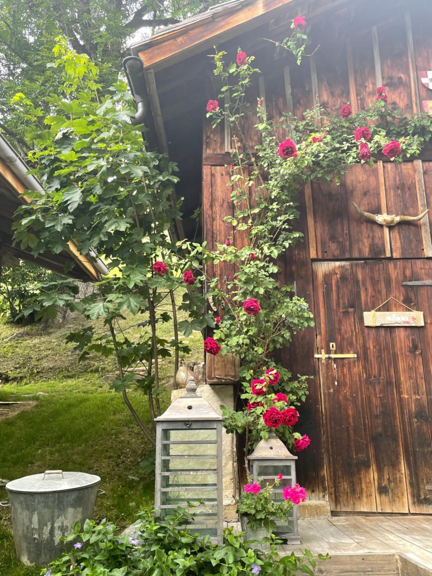 Bed and Breakfast Le Pika Отлюс Экстерьер фото